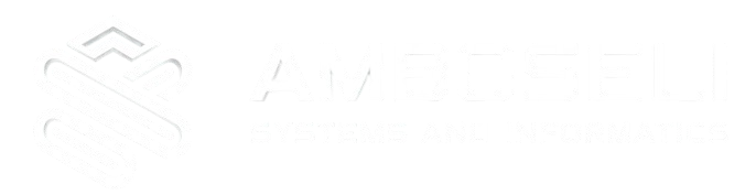 Amboseli Systems and Informatics